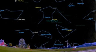 Picture of Southern Delta Aquariids