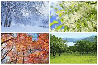 Picture of Season