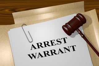 Picture of European Arrest Warrant