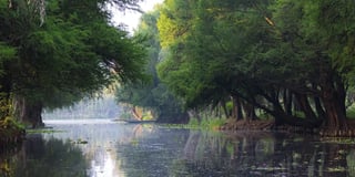 Picture of Lake Xochimilco