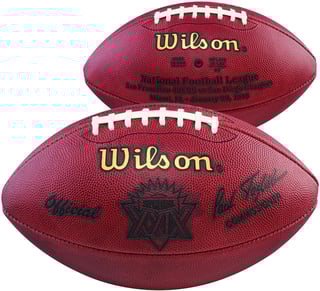 Picture of Super Bowl XXIX