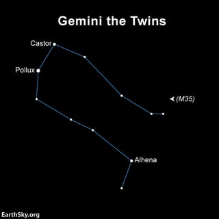 Picture of Gemini