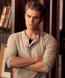 Picture of Stefan Salvatore