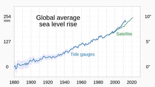 Picture of Sea level rise