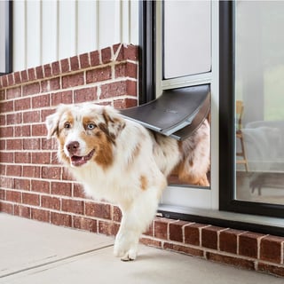 Picture of Pet door