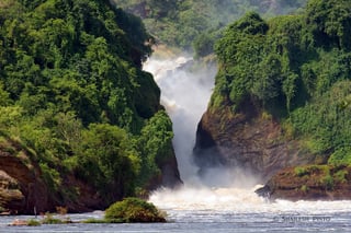 Picture of Murchison Falls National Park