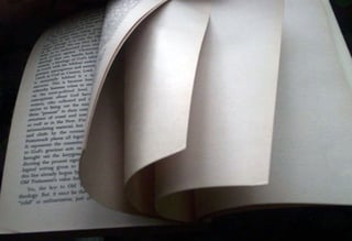 Picture of Page