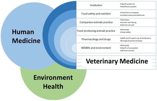 Picture of Veterinary medicine