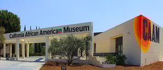 Picture of California African American Museum