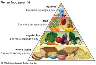 Picture of Vegetarianism