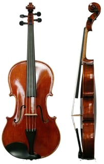 Picture of Viola