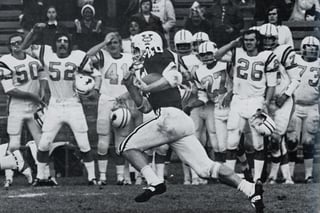 Picture of Dick Jauron