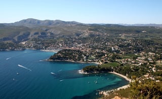 Picture of Cassis