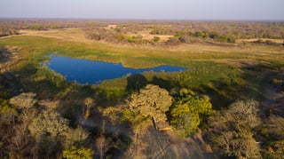 Picture of Kafue National Park