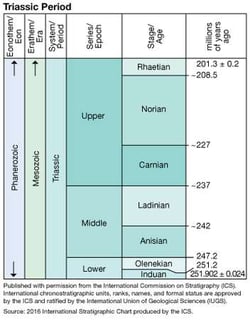 Picture of Triassic