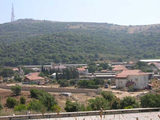 Picture of Margaliot