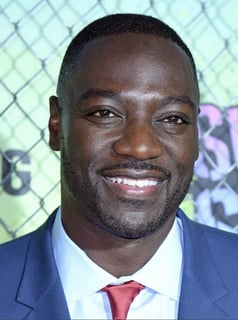 Picture of Adewale Akinnuoye-Agbaje