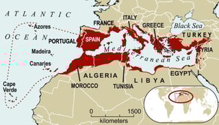 Picture of Mediterranean Basin