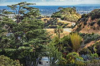 Picture of Runyon Canyon Park