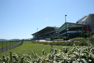 Picture of Leopardstown