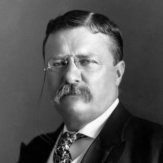 Picture of Theodore Roosevelt