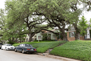 Picture of Travis Heights