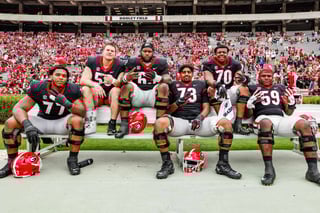Picture of Georgia Bulldogs football