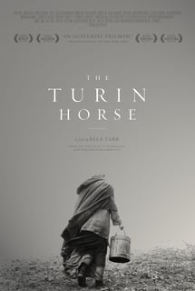 Picture of The Turin Horse