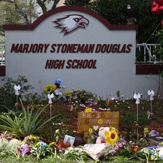 Picture of Marjory Stoneman Douglas High School