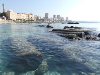 Picture of Tyre