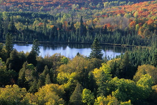 Picture of Superior National Forest
