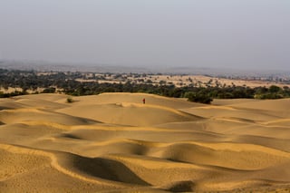 Picture of Thar Desert