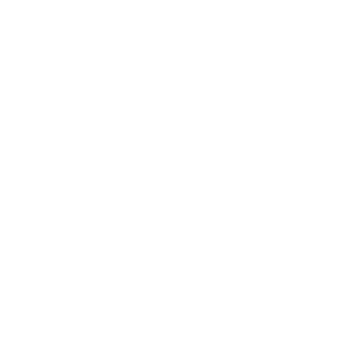 Picture of FIPRESCI Prize