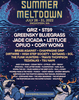 Picture of Meltdown