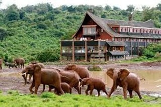 Picture of Aberdare National Park