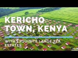 Picture of Kericho