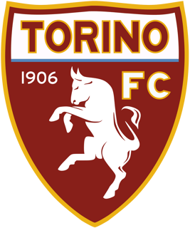Picture of Torino F.C.