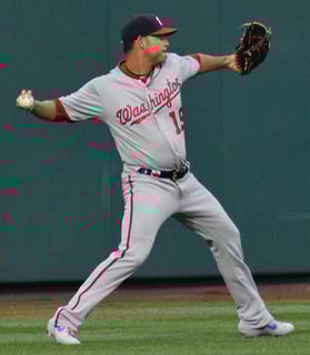 Picture of Aníbal Sánchez