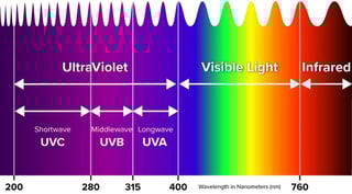 Picture of Ultraviolet