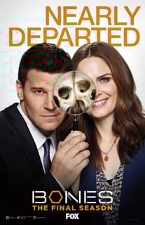 Picture of Bones