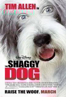 Picture of The Shaggy Dog