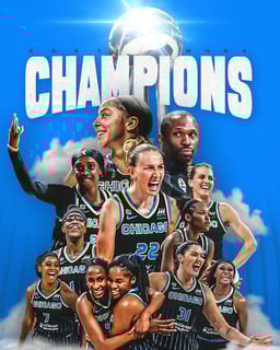 Picture of Chicago Sky