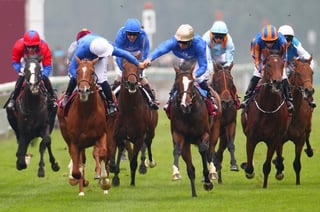 Picture of Godolphin Racing