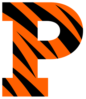 Picture of Princeton Tigers