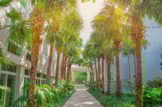 Picture of University of Miami School of Law