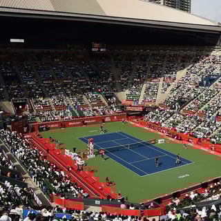 Picture of Japan Open