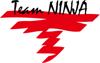 Picture of Team Ninja