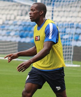 Picture of Nedum Onuoha