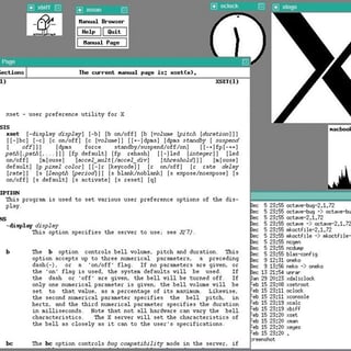 Picture of X Window System