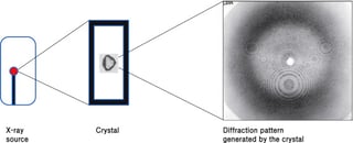 Picture of X-ray crystallography